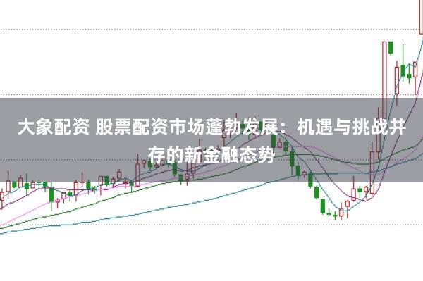 大象配资 股票配资市场蓬勃发展：机遇与挑战并存的新金融态势