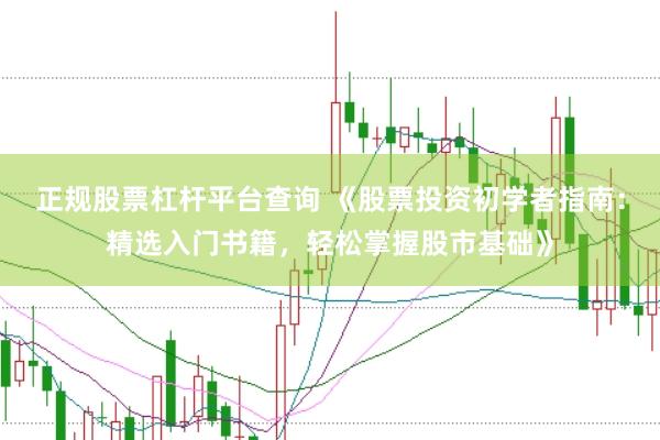 正规股票杠杆平台查询 《股票投资初学者指南：精选入门书籍，轻松掌握股市基础》