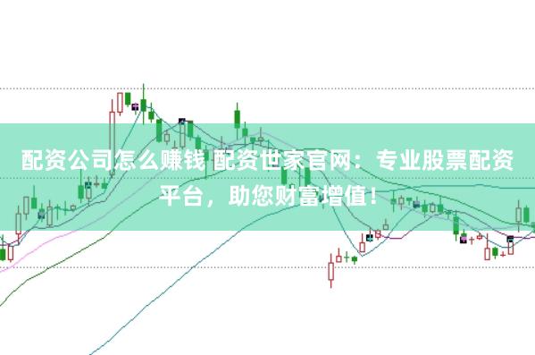配资公司怎么赚钱 配资世家官网：专业股票配资平台，助您财富增值！